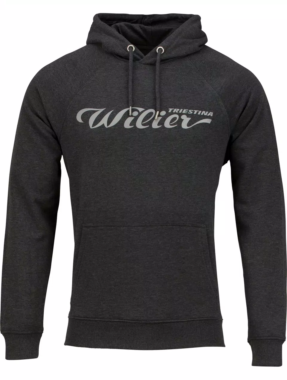 (bild för) WILIER HOODIE LOGO GRÅ